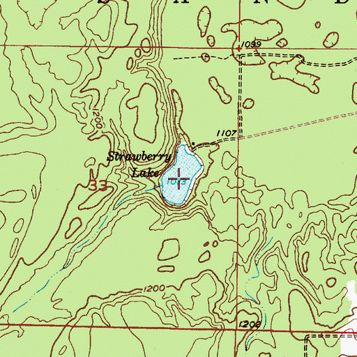 Topographic Map of Strawberry Lake, MI