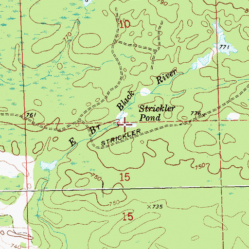 Topographic Map of Strickler Pond, MI