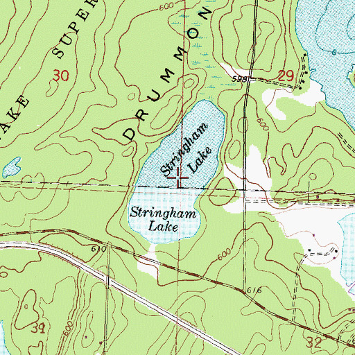 Topographic Map of Stringham Lake, MI