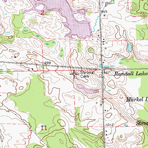 Topographic Map of Strong Cemetery, MI