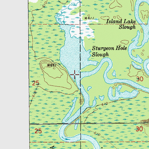 Topographic Map of Sturgeon Hole Slough, MI