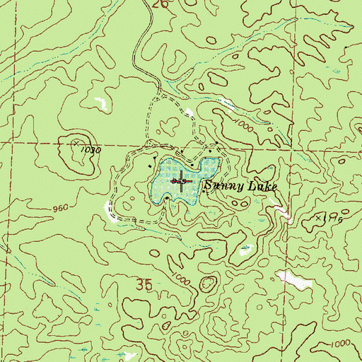 Topographic Map of Sunny Lake, MI