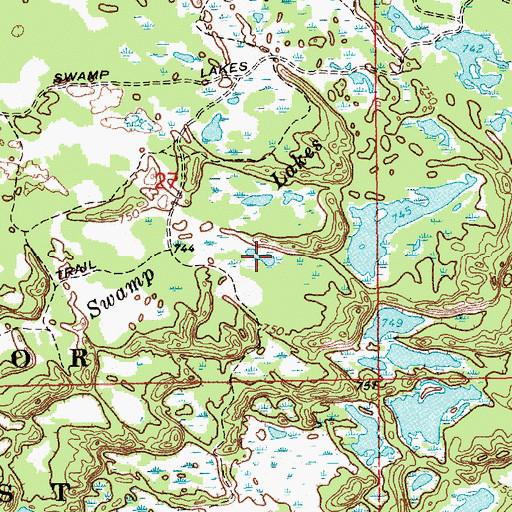 Topographic Map of Swamp Lakes, MI