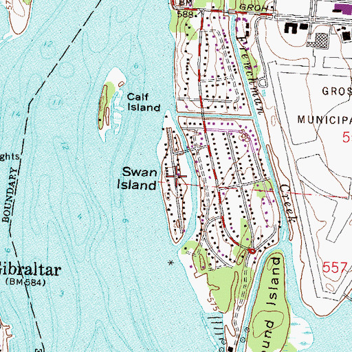 Topographic Map of Swan Island, MI