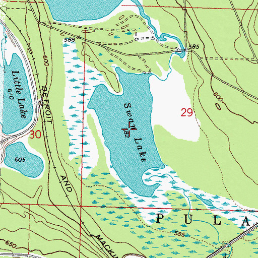 Topographic Map of Swan Lake, MI
