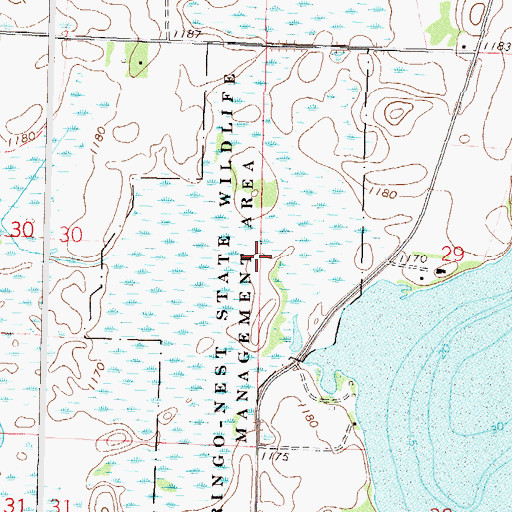 Topographic Map of Ringo-Nest State Wildlife Management Park a, MN