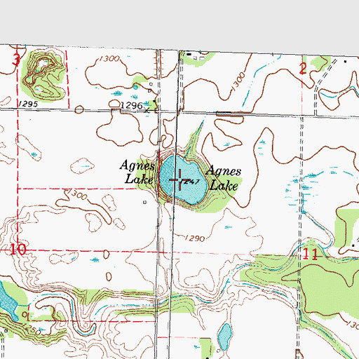 Topographic Map of Agnes Lake, MN