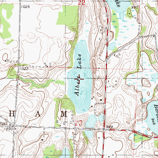 Topographic Map of Albert Lake, MN