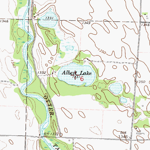 Topographic Map of Albert Lake, MN