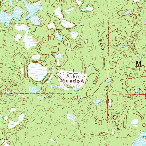 Topographic Map of Alem Meadow, MN
