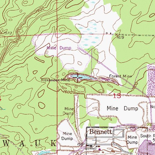 Topographic Map of Alexander Mine, MN