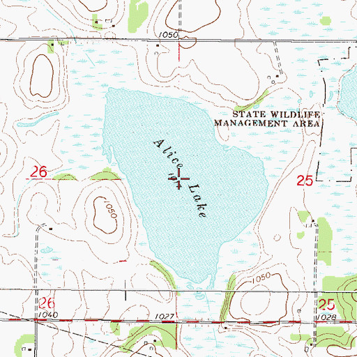 Topographic Map of Alice Lake, MN