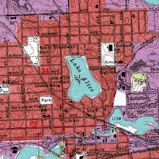 Topographic Map of Lake Alice, MN