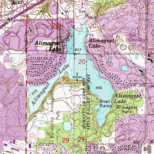 Topographic Map of Alimagnet Lake, MN