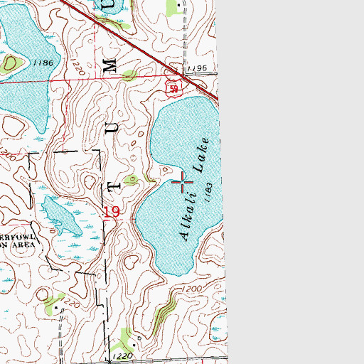 Topographic Map of Alkali Lake, MN