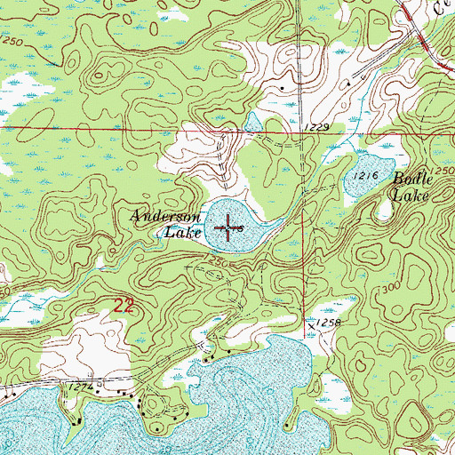 Topographic Map of Anderson Lake, MN