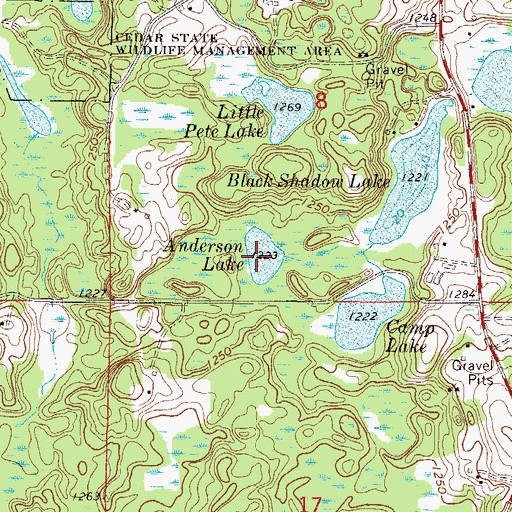 Topographic Map of Anderson Lake, MN