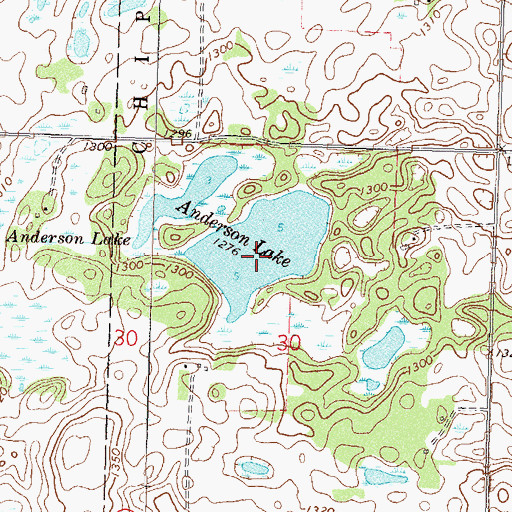Topographic Map of Anderson Lake, MN