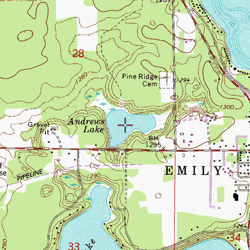 Topographic Map of Andrews Lake, MN