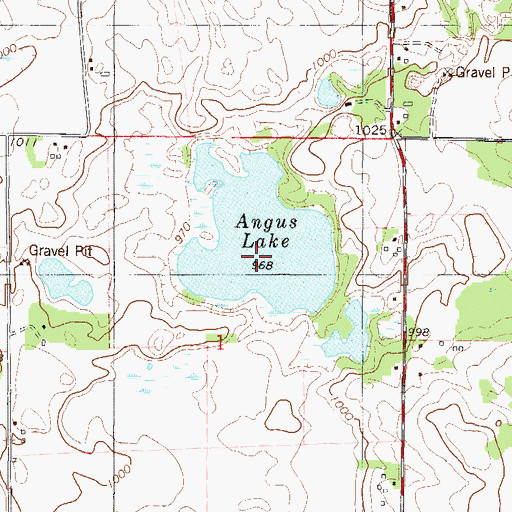 Topographic Map of Angus Lake, MN