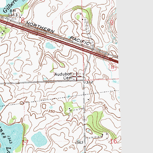Topographic Map of Audubon Cemetery, MN