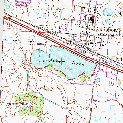 Topographic Map of Audubon Lake, MN