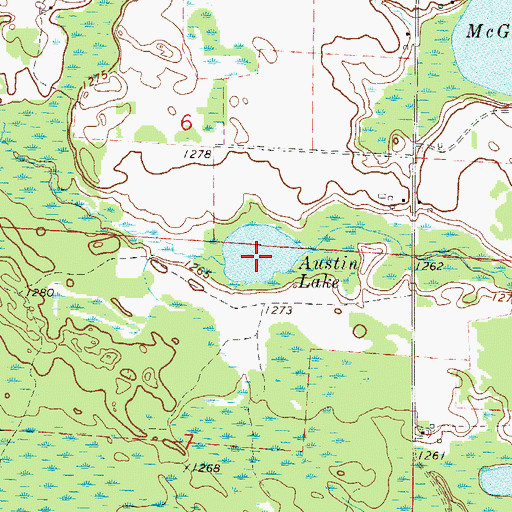 Topographic Map of Austin Lake, MN