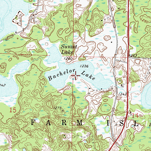 Topographic Map of Bachelor Lake, MN