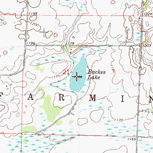 Topographic Map of Backes Lake, MN