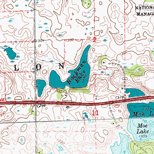 Topographic Map of Backman Lake, MN