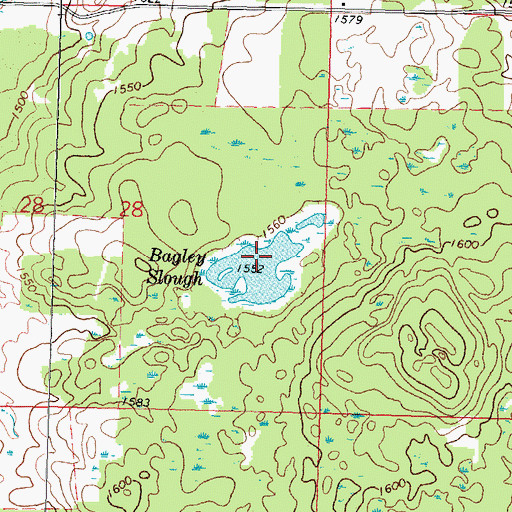Topographic Map of Bagley Slough, MN