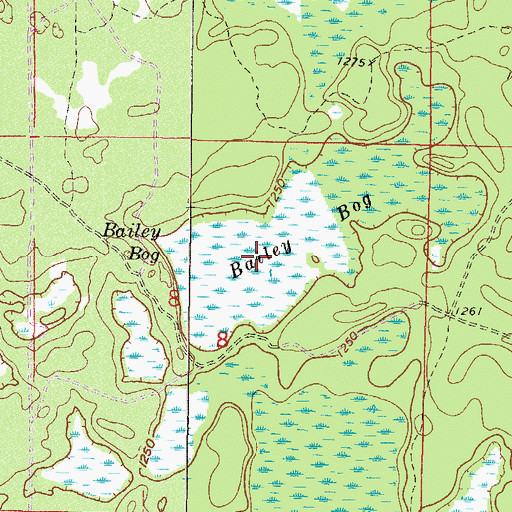 Topographic Map of Bailey Bog, MN
