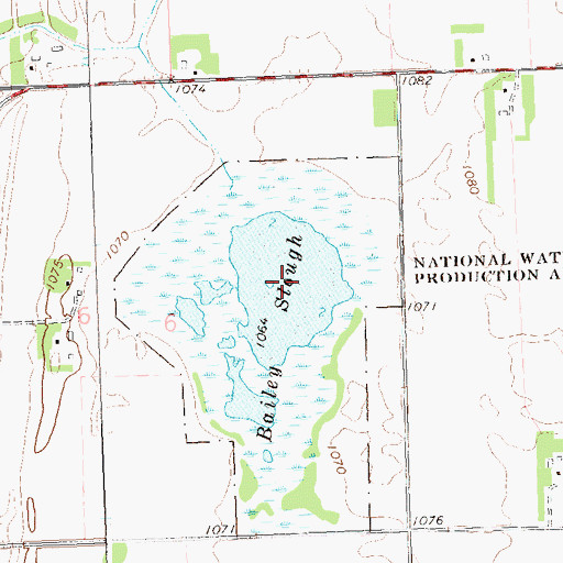 Topographic Map of Bailey Slough, MN