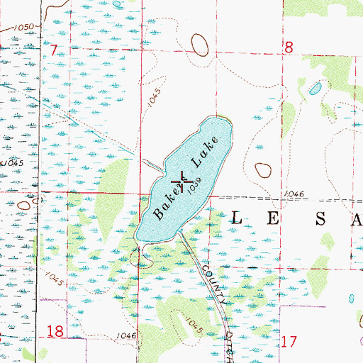 Topographic Map of Bakers Lake, MN
