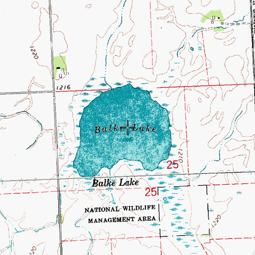 Topographic Map of Balke Lake, MN