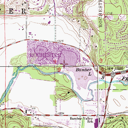 Topographic Map of Bamber Lake, MN