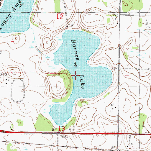 Topographic Map of Barnes Lake, MN