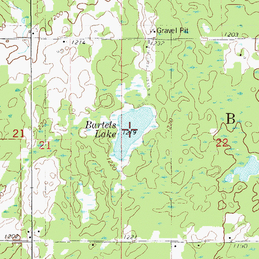 Topographic Map of Bartels Lake, MN