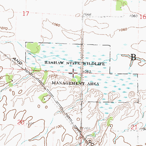 Topographic Map of Bashaw State Wildlife Management Area, MN
