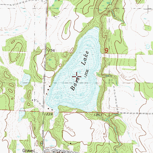 Topographic Map of Bass Lake, MN