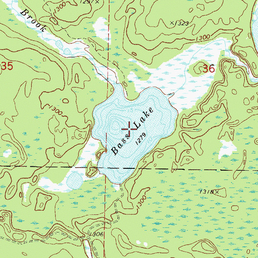 Topographic Map of Bass Lake, MN