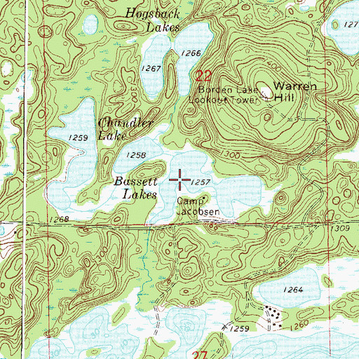 Topographic Map of Bassett Lakes, MN