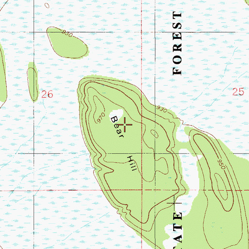 Topographic Map of Bear Hill, MN