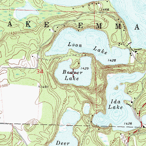 Topographic Map of Beaver Lake, MN