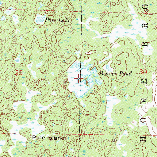 Topographic Map of Beaver Pond, MN