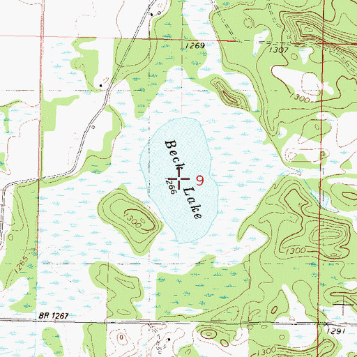Topographic Map of Beck Lake, MN