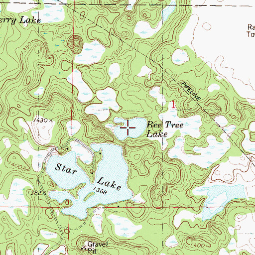 Topographic Map of Bee Tree Lake, MN