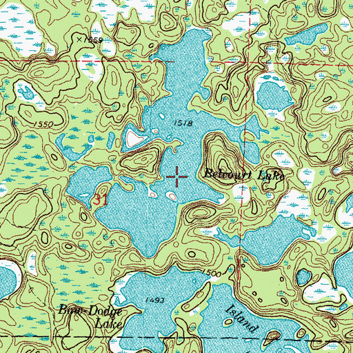 Topographic Map of Belcourt Lake, MN