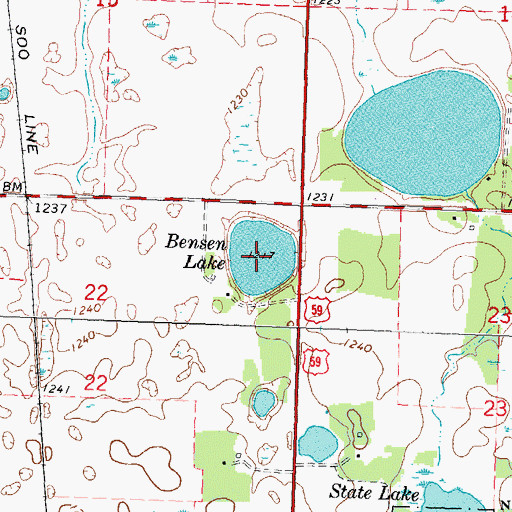 Topographic Map of Bensen Lake, MN