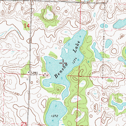 Topographic Map of Benson Lake, MN